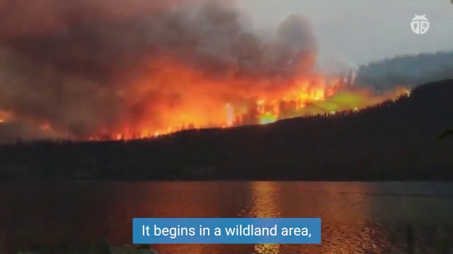 What is a Wildfire?