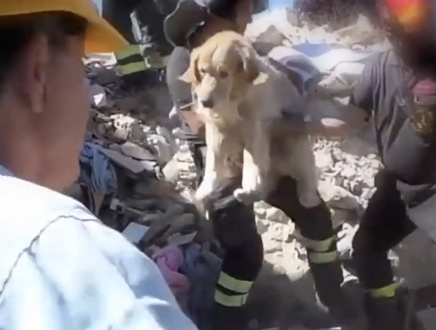 How to prepare for an earthquake?