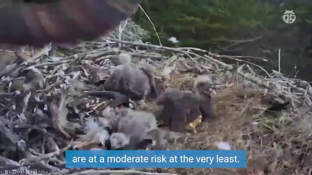 How many earthquakes occur worldwide each year?