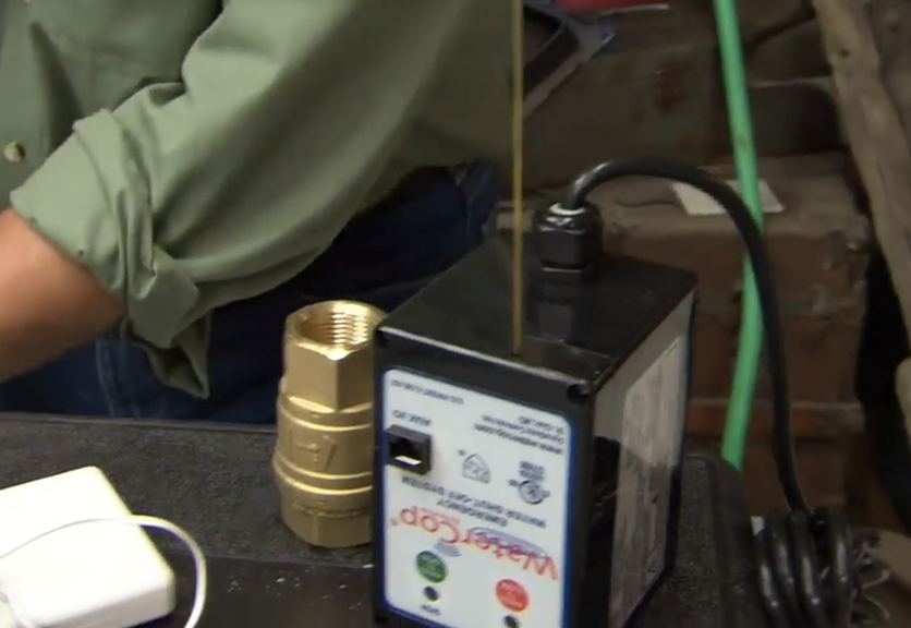 Who makes an automated leak detection and water shut off system?
