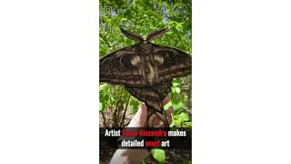 Raine Alexandra - Wood Art Inspired by Nature