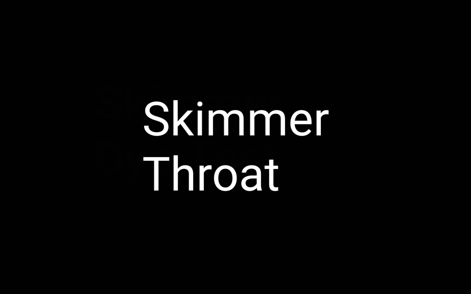 Extension Rings for Skimmer Throat