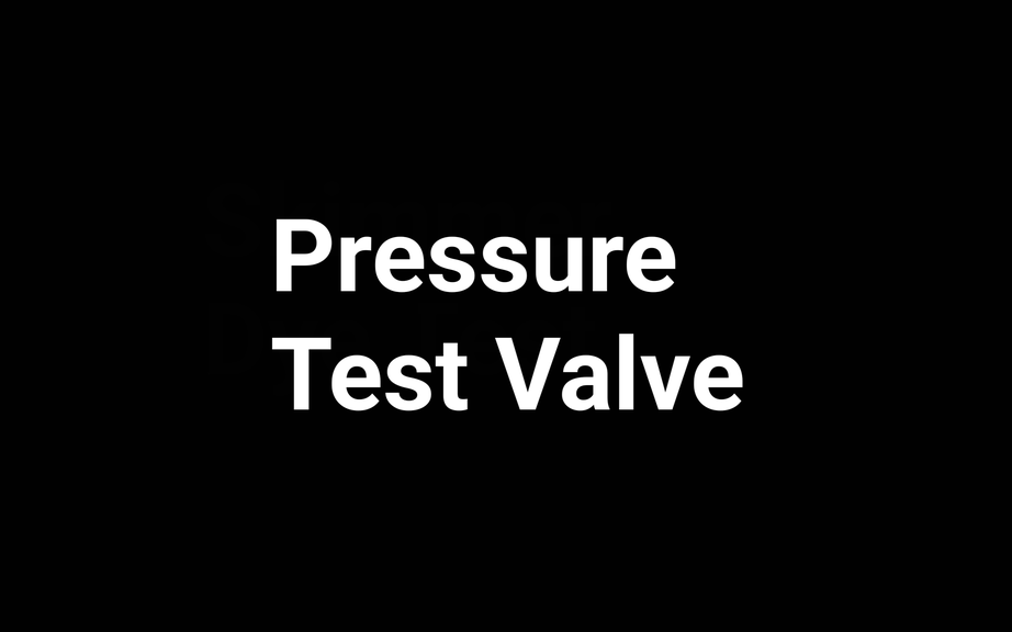 Pressure Test Valve