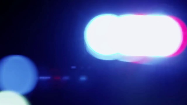 10 Biggest Snakes Ever Captured ! [4f-w7rXMDyU].mp4