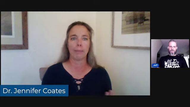 Advice for talking to non-vegan dog parents