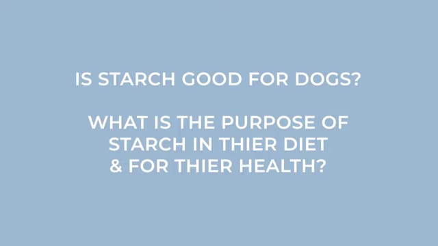 Cats are obligate carnivores