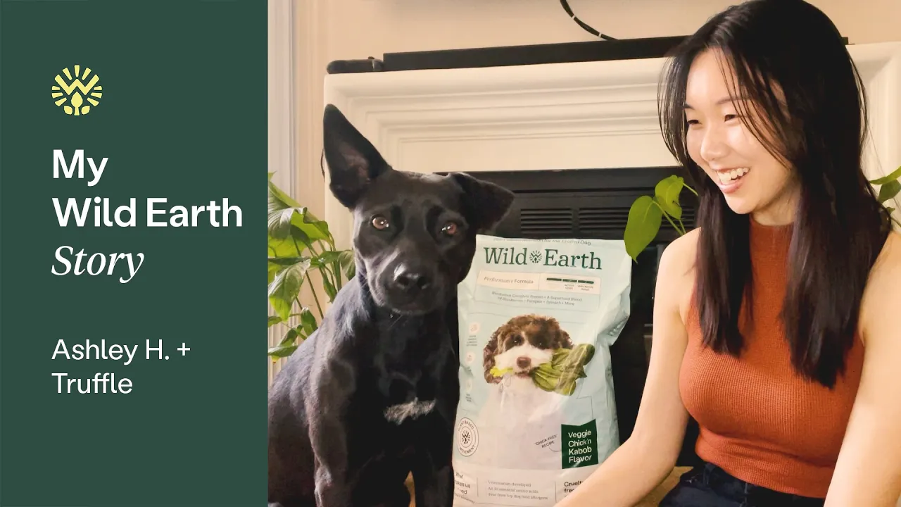 Wild Earth Dog Food Review | Truffle's Wild Earth Story | Performance Formula