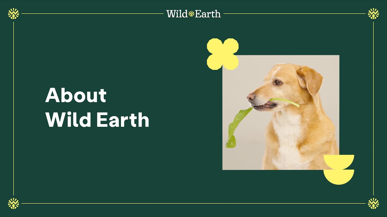 About Wild Earth | Wild Earth Dog Food