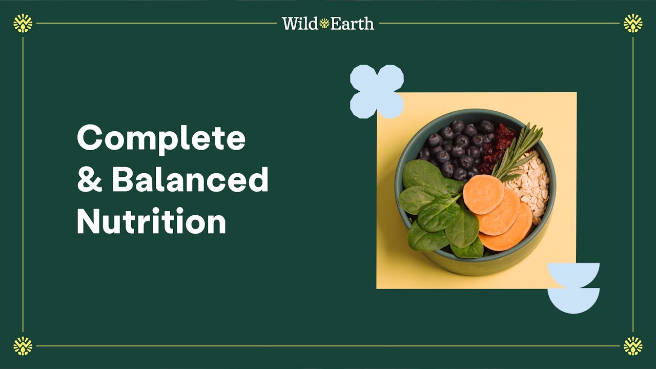 Complete & Balanced Nutrition | Wild Earth Dog Food