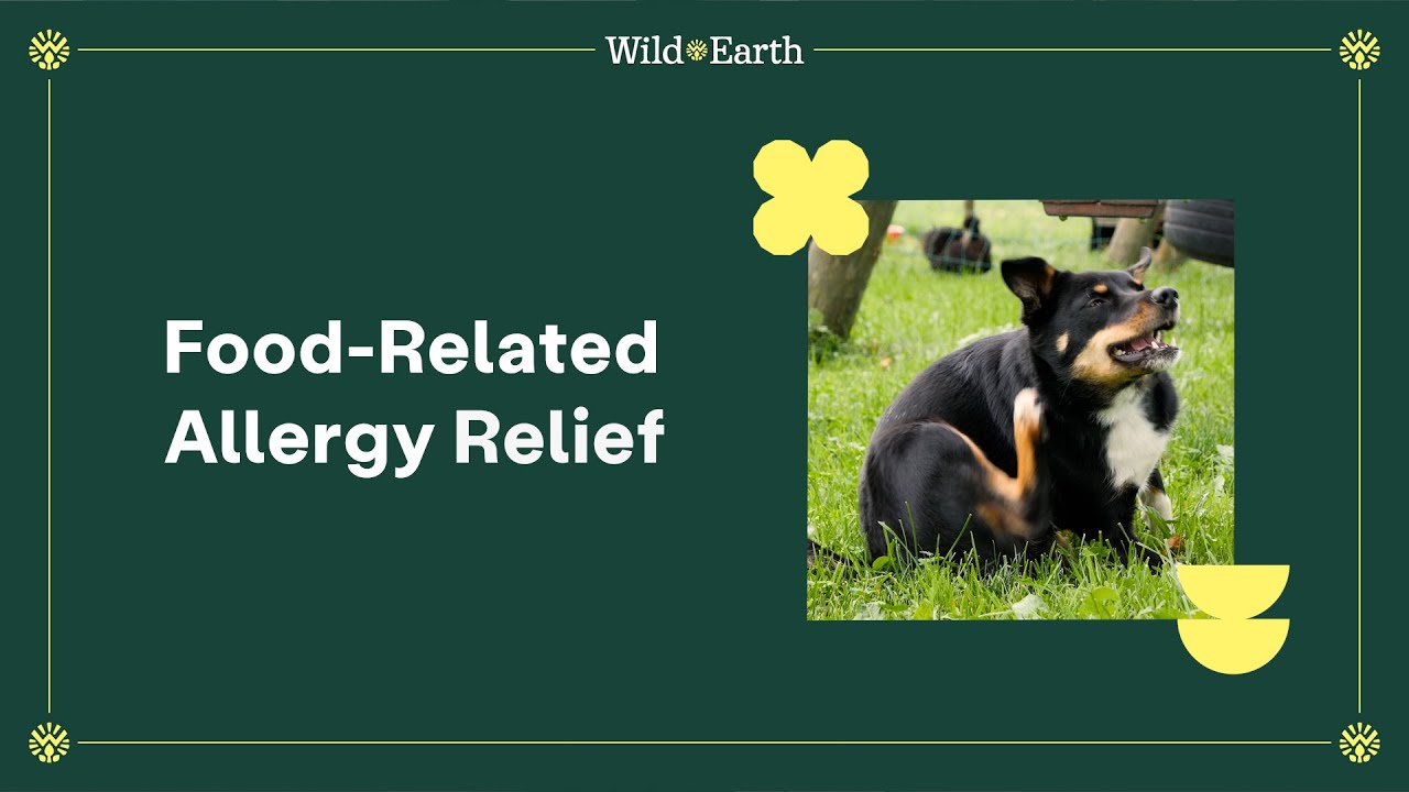 Food Allergy Relief | Wild Earth Dog Food