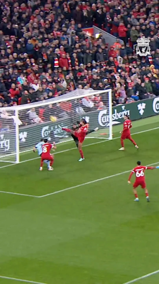 Calm as you like. 😮‍💨 #lfc #shorts