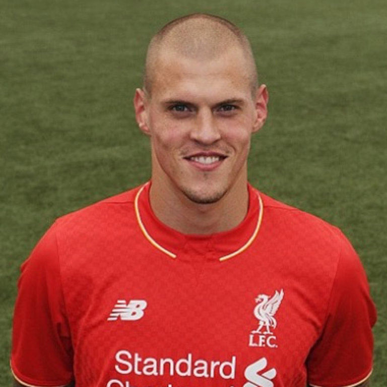 Martin Skrtel wins the penalty