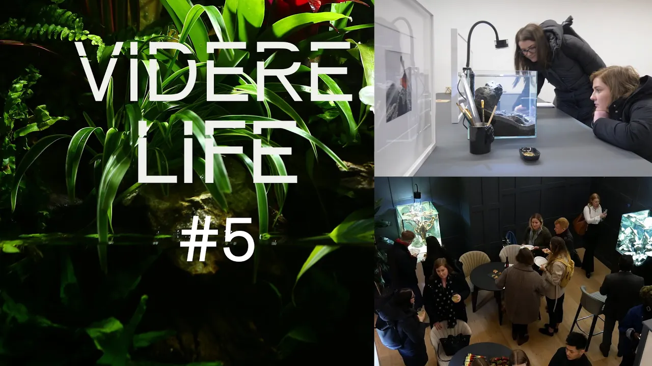 ViDERE LiFE #5 - Life Gallery 2020 launch day