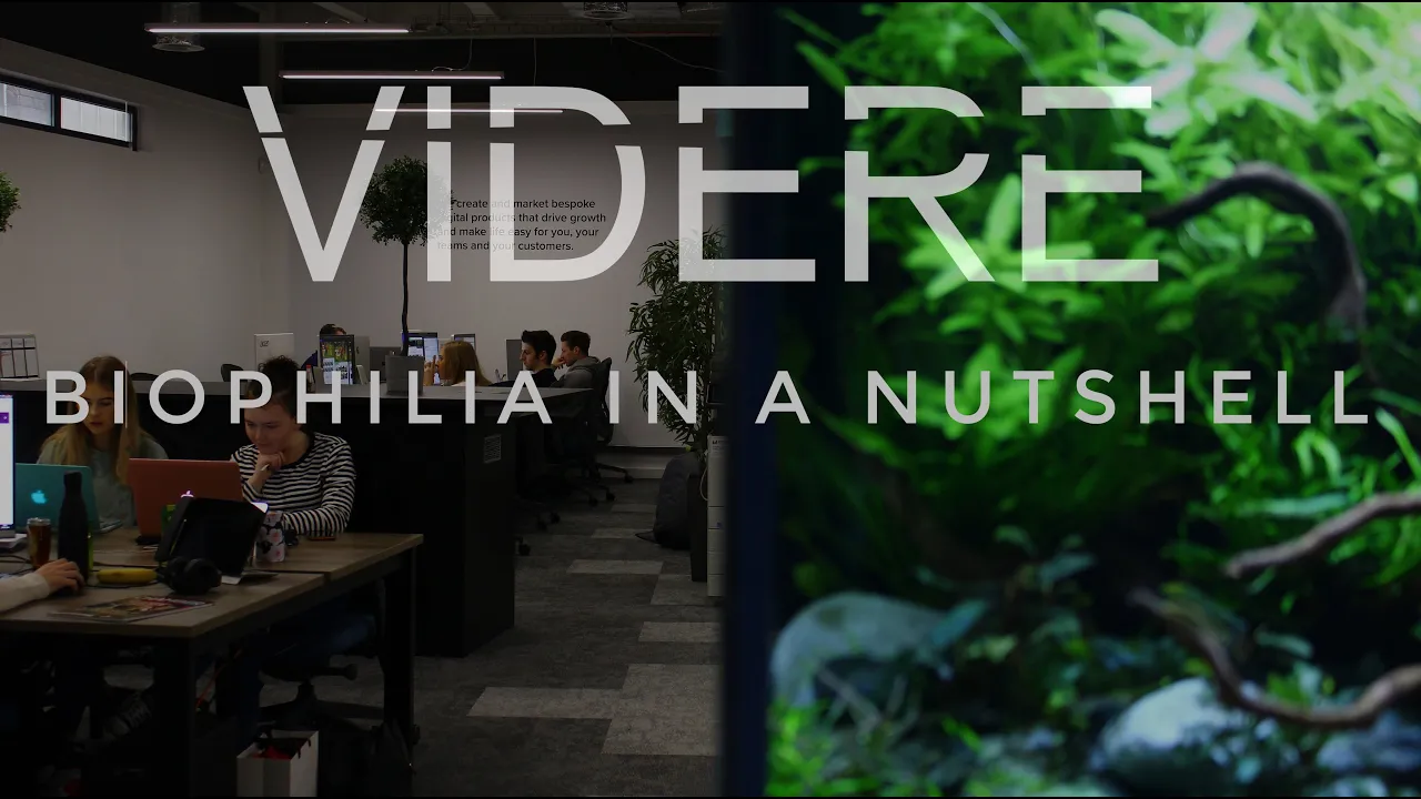 Biophilia In a Nutshell - ViDERE Podcast Clips - Callum Walker