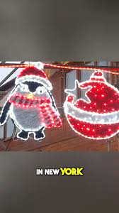 Spreading Christmas Joy for Charity: 12 years of festive lights