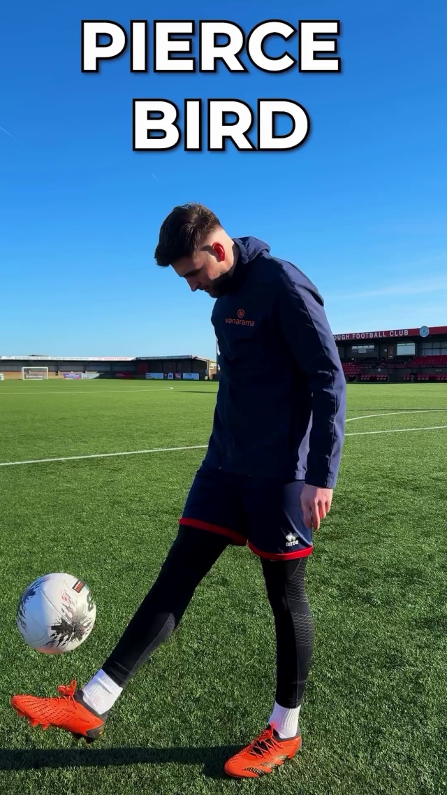 Pierce Bird has landed