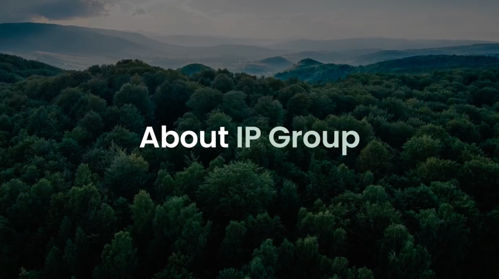 About IP Group