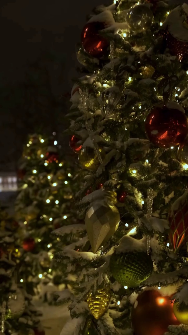 Wishing you a Merry Christmas filled with joy, love, and leak-free days!