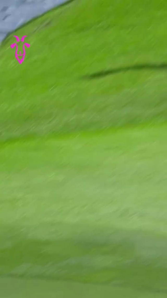 A wonderful chip-in for EAGLE 🦅