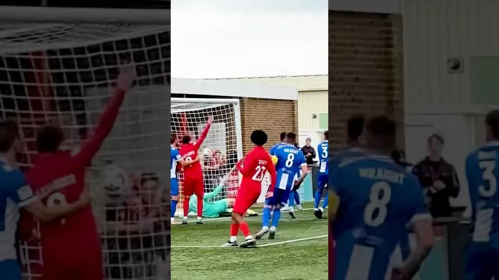 Poetry in motion 🤪