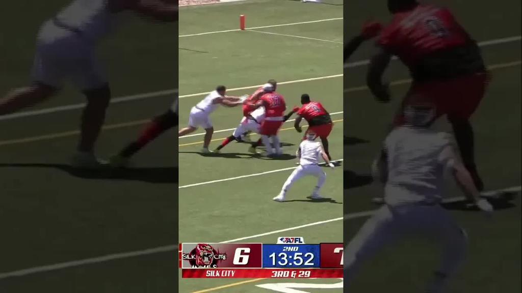 Animals Stop The Insomniacs On Third And Long! Hamilton Connects With Carswell But Comes Up Short!