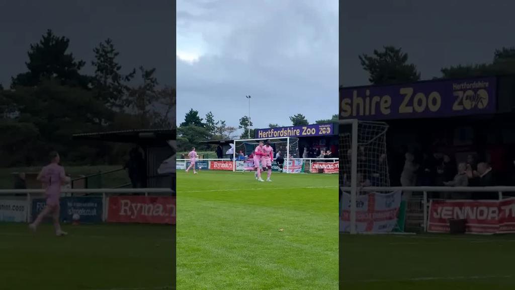 What Was Better: The Goal or The Assist?