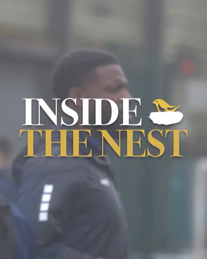 🎥𝐈𝐍𝐒𝐈𝐃𝐄 𝐓𝐇𝐄 𝐍𝐄𝐒𝐓- 𝐎𝐱𝐟𝐨𝐫𝐝 𝐂𝐢𝐭𝐲 (𝐇)